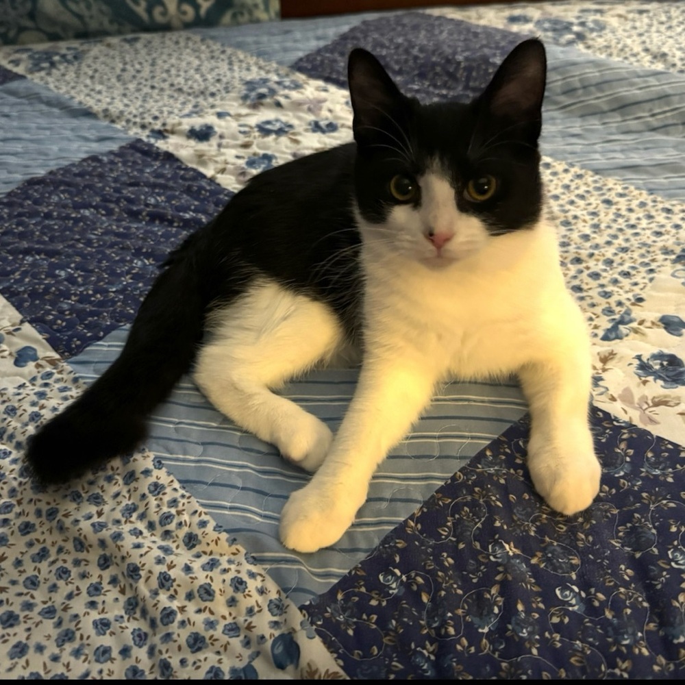 Meet your Posher, 1223Bubba